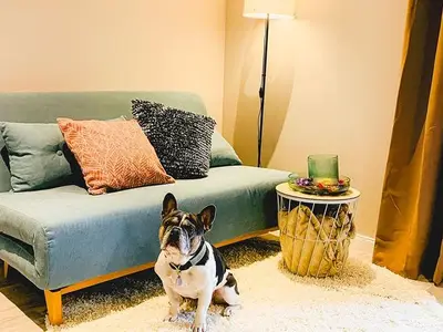 Ferienwohnung für 3 Personen (33 m²) in Langenau 5/10
