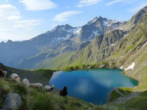 Weisser See