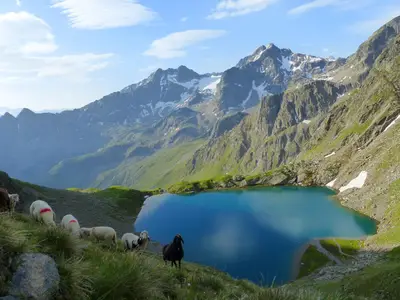 Weisser See