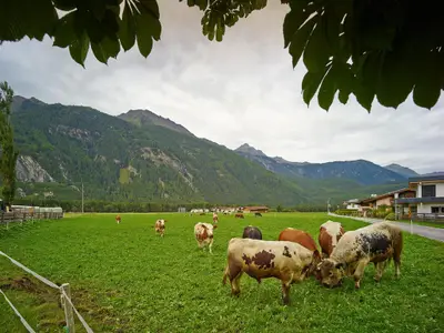 Urlaub am Bauernhof