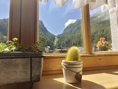 Fensteraussicht Sommer