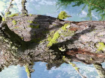 Natur im Ötztal