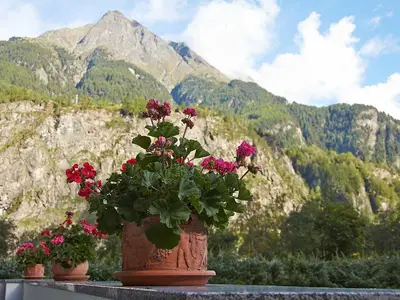 Ausblick Terrasse