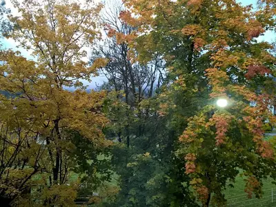 Ausblick vom Balkon