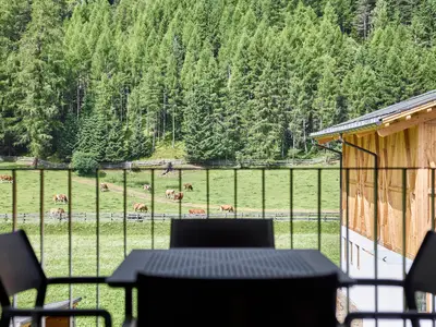 Ausblick vom Balkon