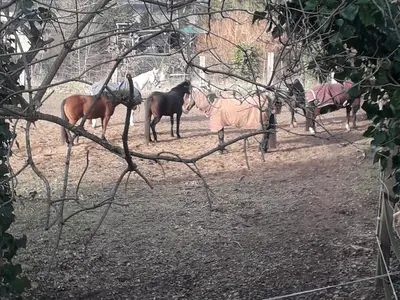 Ferienwohnung für 6 Personen (145 m²) in Langenhagen (Hannover) 8/10