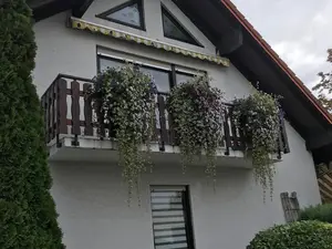 Ferienwohnung für 4 Personen (60 m²) in Langenlonsheim