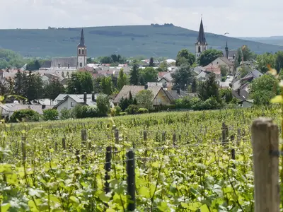 Blick aus den Weinbergen auf Langenlonsheim