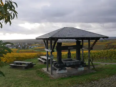 Ausflugsziel Alte Kelter in Langenlonsheim