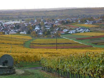 Blick vom Kelterplatz auf Lalo und Rheinhessen