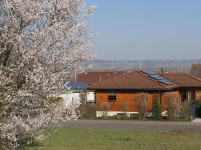 Ferienwohnung für 4 Personen (70 m²) in Langenlonsheim 1/10