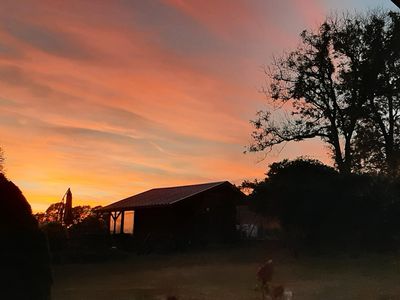 Blick von der Sitzecke im Garten