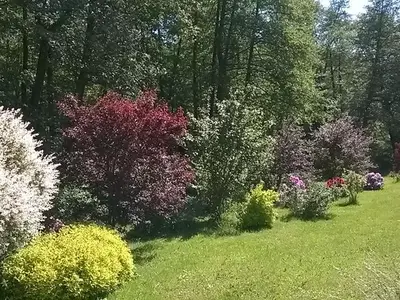 Ferienwohnung für 6 Personen (130 m²) in Langenweißbach 3/10