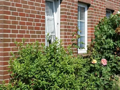 Ferienwohnung für 2 Personen (35 m²) in Langeoog 8/10