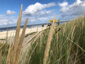 Ferienwohnung für 3 Personen (45 m²) in Langeoog