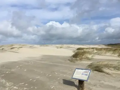 Ferienwohnung für 4 Personen (51 m²) in Langeoog 6/10