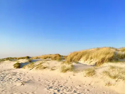 Ferienwohnung für 4 Personen (51 m²) in Langeoog 8/10