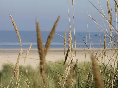 Ferienwohnung für 6 Personen (82 m²) in Langeoog 6/10