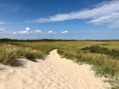 Ferienwohnung für 4 Personen (45 m²) in Langeoog 10/10