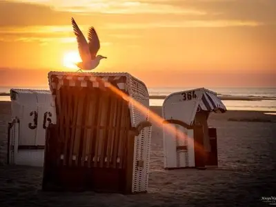 Ferienwohnung für 3 Personen (45 m²) in Langeoog 5/10
