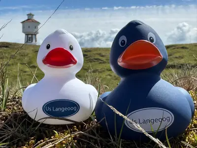 Ferienwohnung für 3 Personen (65 m²) in Langeoog 9/10