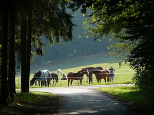 18593546-Ferienwohnung-4-Langgöns-300x225-4