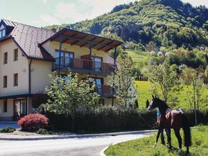 Ferienwohnung für 5 Personen (47 m²) in Laško