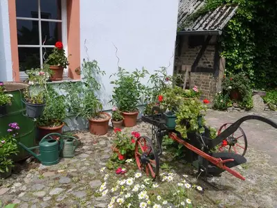 Ferienwohnung für 3 Personen (40 m²) in Lassan 6/10