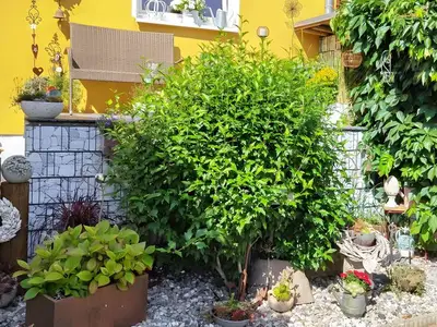 Ferienwohnung für 2 Personen (50 m²) in Lassan 8/10