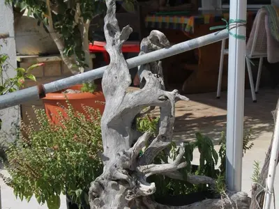Ferienwohnung für 3 Personen in Lastovo 9/10