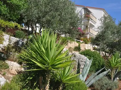 Ferienwohnung für 3 Personen in Lastovo 5/10