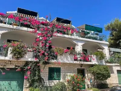Ferienwohnung für 3 Personen in Lastovo 2/10