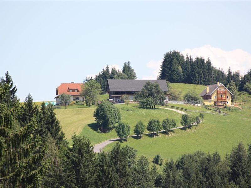 19357865-Ferienwohnung-3-Latschach-800x600-2