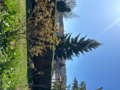 Ferienwohnung für 4 Personen (75 m²) in Lauchheim 9/10