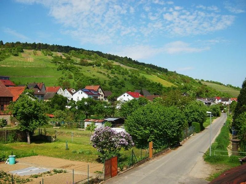 22139717-Ferienwohnung-2-Lauda-Königshofen-800x600-2