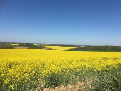 Ausblick am Wetterkreuz (ca. 1,8 km entfernt)