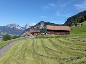 Unser Hof Langberg mit Blick auf die Mythen.