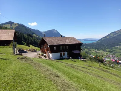 Das Wohnhaus im Hintergrund die Rigi.