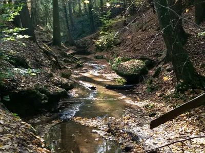 Ferienwohnung für 3 Personen in Lauf an der Pegnitz 3/9