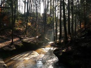 22660059-Ferienwohnung-3-Lauf an der Pegnitz-300x225-1