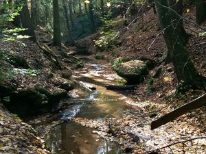 22660059-Ferienwohnung-3-Lauf an der Pegnitz-300x225-2