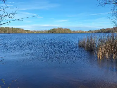 Abtsdorfer See Frühling