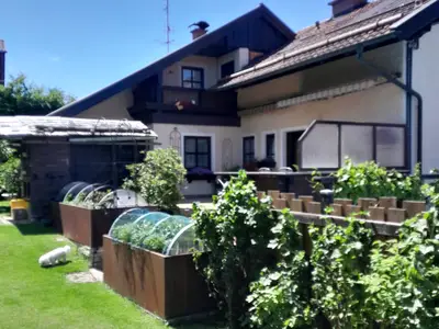 Blick vom Garten aus