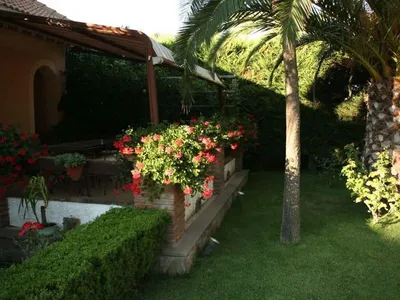 Ferienwohnung für 4 Personen (40 m²) in Laureana Cilento 7/10