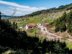 Blick auf den Vogthof