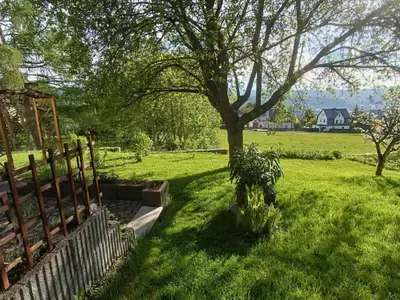 Blick in den Garten
