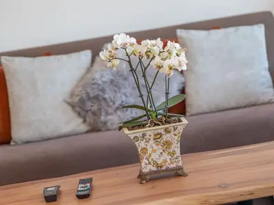 Ferienwohnung für 4 Personen (66 m²) in Putbus 6/10