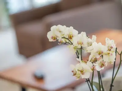 Ferienwohnung für 4 Personen (66 m²) in Putbus 7/10