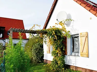 Ferienwohnung für 4 Personen (55 m²) in Putbus 3/10