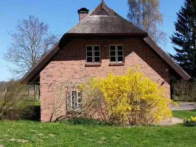 Ferienwohnung für 5 Personen (70 m²) in Putbus 8/10